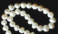Large  White Chinese Freshwater Pearls 10mm or 11mm
