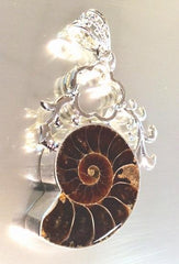 Million-Of-Years-Old Ammonite Fossil Healing Pendant - Unusual!