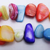 Medley of Colours Mother-Of-Pearl Shell Free-form Cut Beads