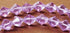 Beautiful Faceted Lavender Glass Bicone Bead String