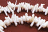 Spiky Snow White Coral Chip String