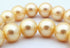 Large 12mm  Sunny Blond Shell Pearls