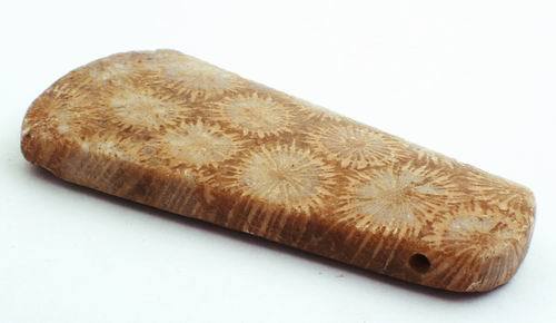 Unusual, Large Fossil Coral Focal Bead - 59mm