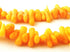 135 Wild Orange-Yellow Sea Bamboo Coral Icicle Root Beads