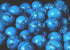 Lovely Blue Howlite Turquoise Beads - 12mm