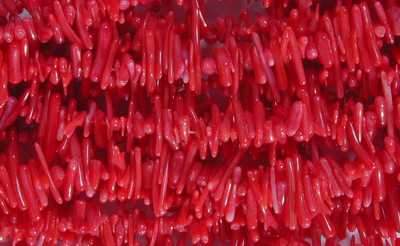 Striking Rich Red Sea Bamboo Coral Small Chip Beads