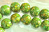 25 Large Mosaic Apple Green Turquoise 16mm Puff Button Beads