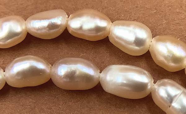 90 Beautiful Champagne Tiny Rice Pearl Beads