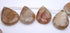 12 Large Distinctive Dragon Vein Agate Teardrop Beads